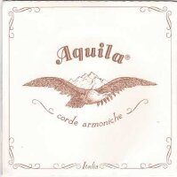 Aquila violin G strong 165